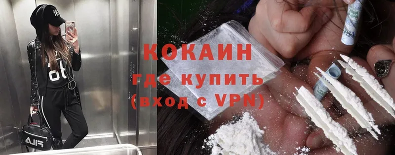 Cocaine Fish Scale  блэк спрут ссылки  Курганинск 